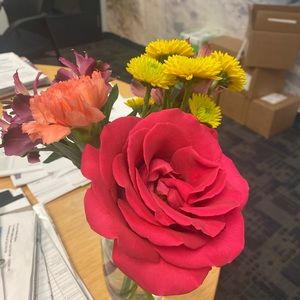 Meet your Posher, Kathy